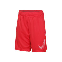 Nike ***Dri-Fit HBR Shorts